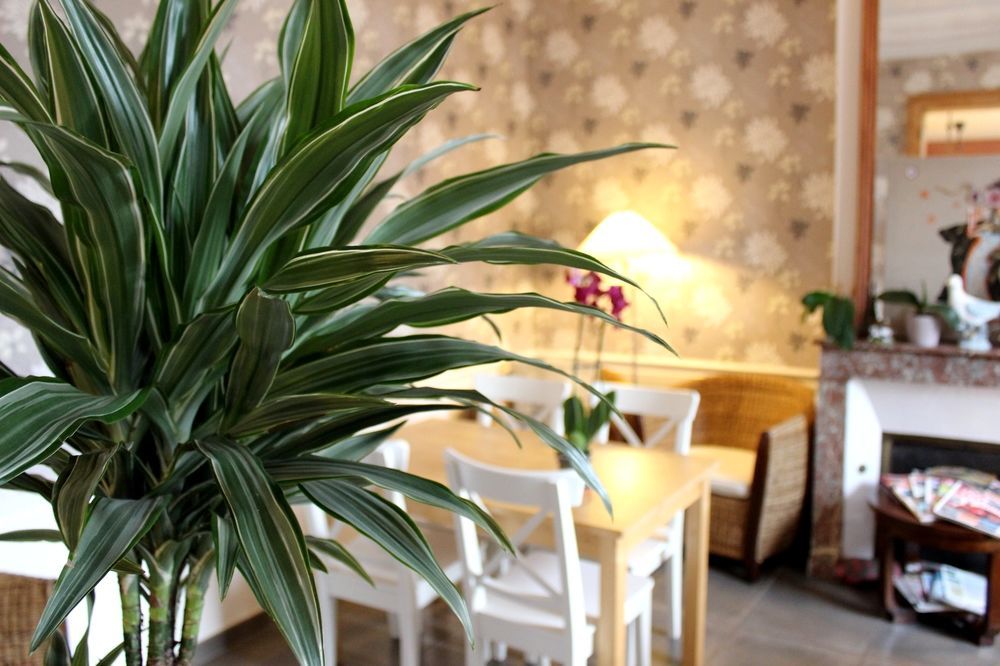 Hotel Les Aubepines Illiers-Combray ภายนอก รูปภาพ